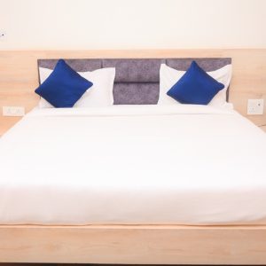 Top resort in Kota